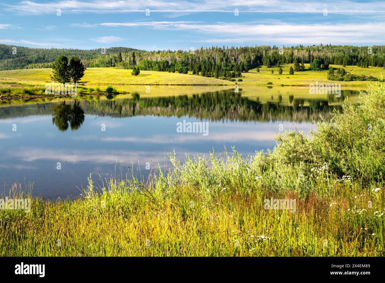 USA, Colorado. Ruhiger Morgen am Steamboat Lake. Stockfoto