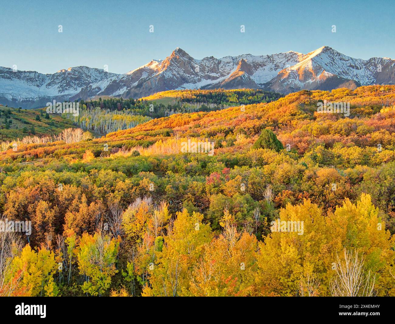 USA, Colorado, Quray. Dallas Divide, Sonnenaufgang auf dem Mt. Snaffles in Herbstfarben Stockfoto