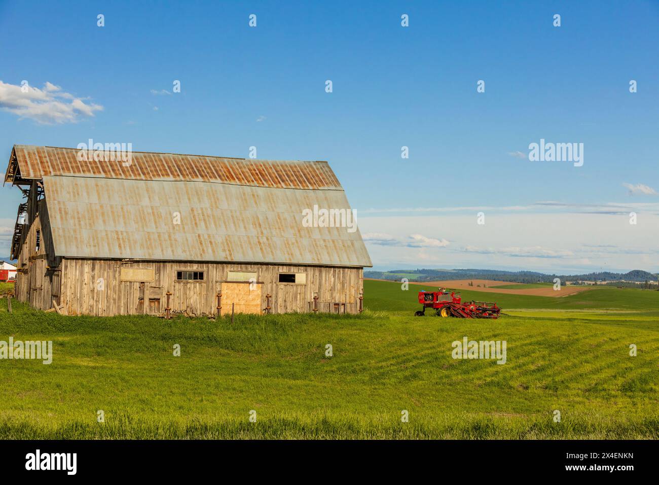 USA, Washington State, Palouse, Colfax. Altes Holz, Scheune. Roter Traktor, landwirtschaftliche Geräte. Grüne Weizenfelder. Drahtzaun. Stockfoto