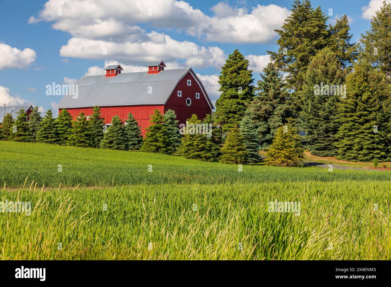 USA, Idaho, Potlatch. Rote Scheune, blauer Himmel, weiße Wolken. (Nur Für Redaktionelle Zwecke) Stockfoto