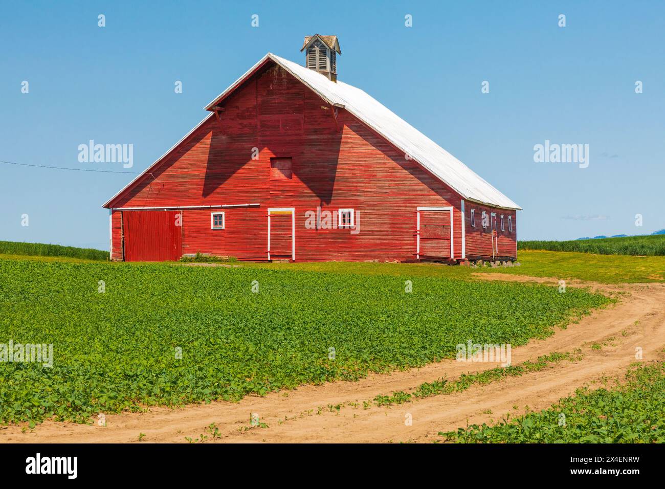 USA, Idaho, Genesee. Rote Scheune, blauer Himmel, weiße Wolken. (Nur Für Redaktionelle Zwecke) Stockfoto