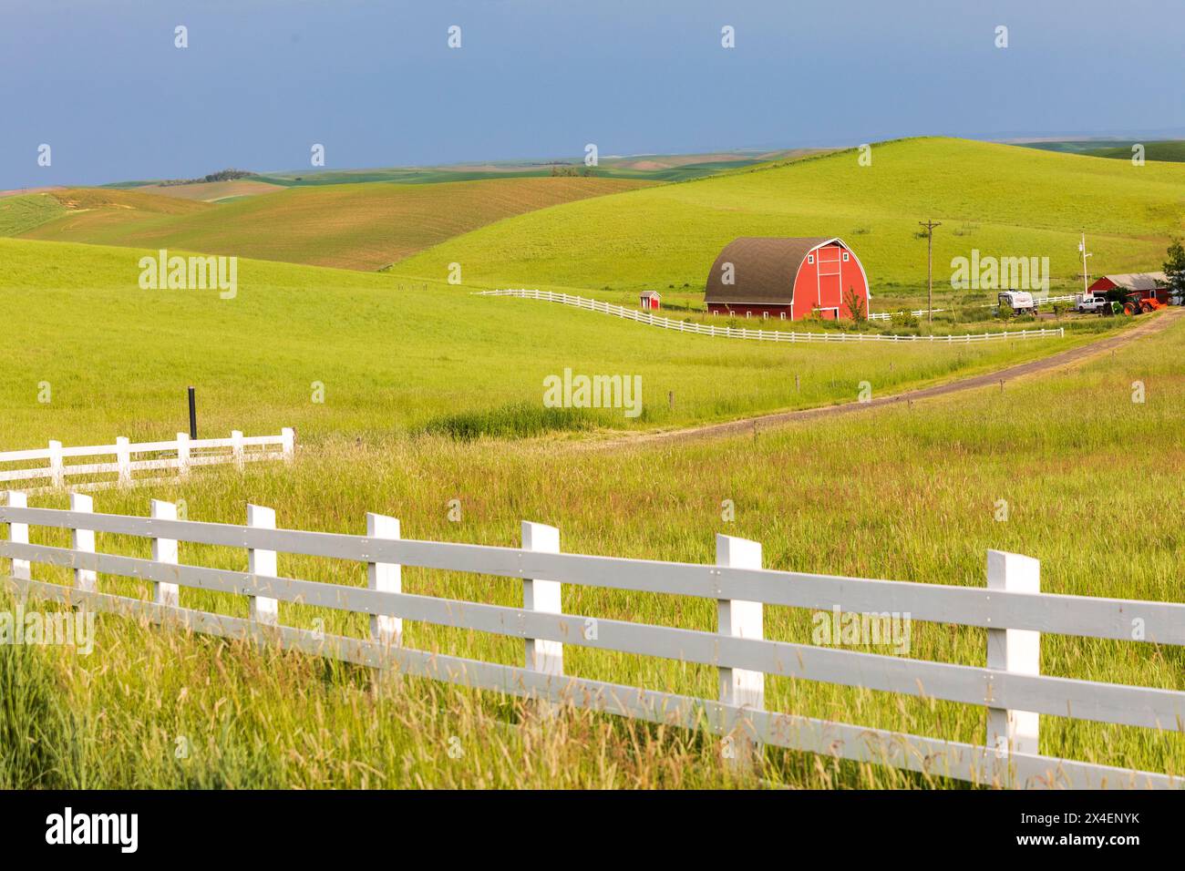 USA, Idaho, Moskau. Rote Scheune und grüne Weizenfelder. (Nur Für Redaktionelle Zwecke) Stockfoto