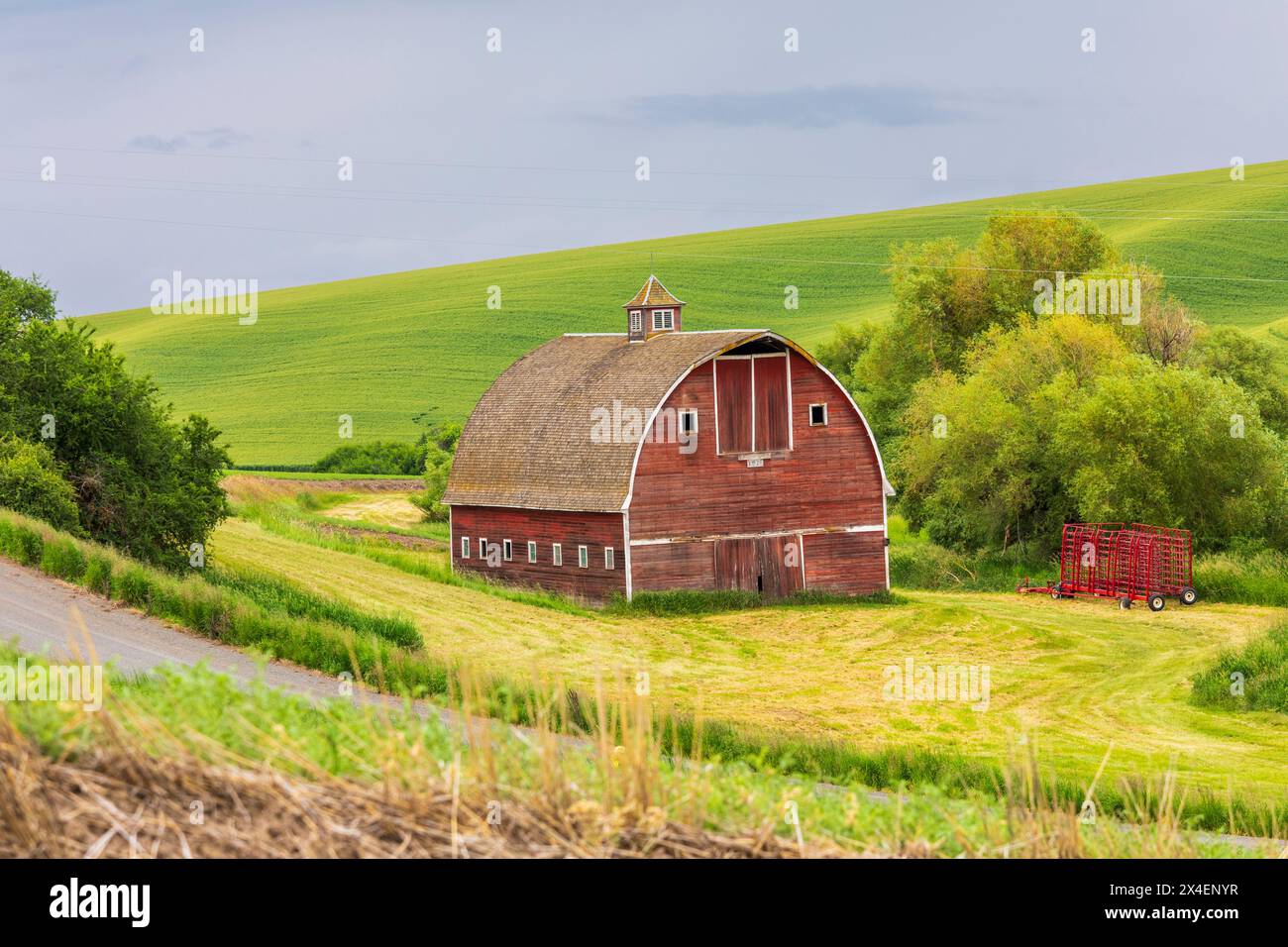 USA, Idaho, Genesee. Rote Scheune und grüne Weizenfelder. (Nur Für Redaktionelle Zwecke) Stockfoto