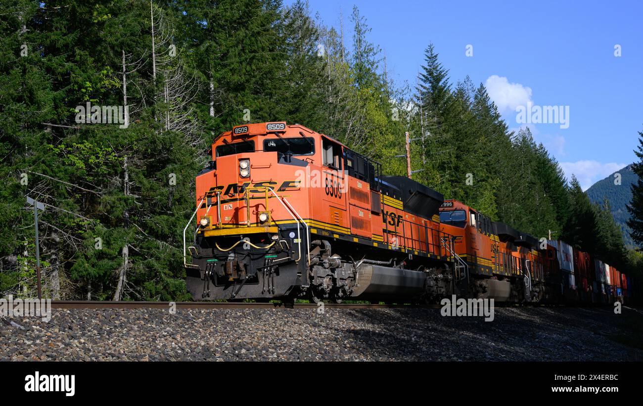 Skykomish, WA, USA - 1. Mai 2024; BNSF-Güterzug durch ländliche Landschaft in der Cascade Mountain Range mit intermodaler Containerladung Stockfoto