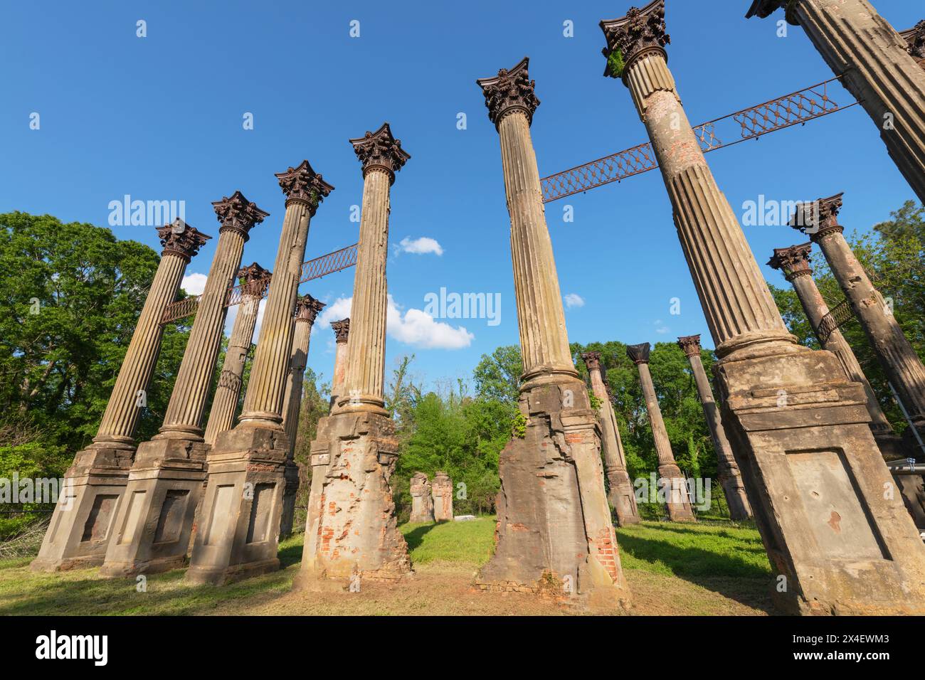 Windsor Ruinen, Mississippi. Bestehend aus 23 stehenden korinthischen Säulen. Das größte Herrenhaus aus der Zeit vor dem Bürgerkrieg, das jemals im Staat gebaut wurde. Stockfoto