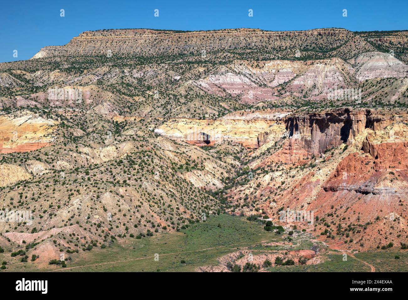 USA, New Mexico. Carson National Forest, in der Nähe der Ghost Ranch. Stockfoto