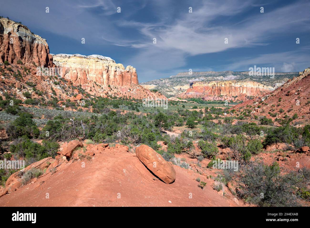 USA, New Mexico. Carson National Forest, in der Nähe der Ghost Ranch. Stockfoto