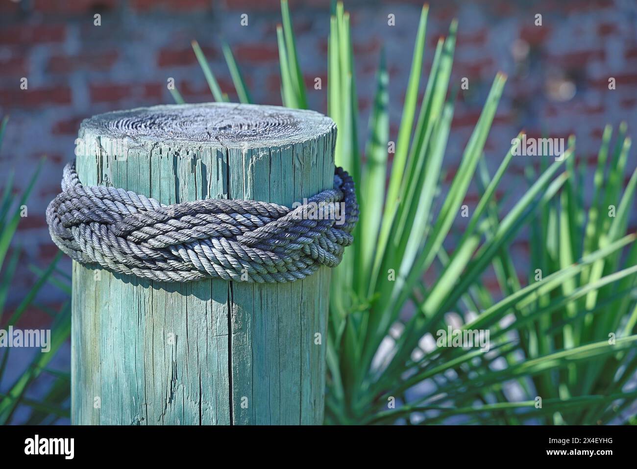 USA, North Carolina, Ocracoke Island. Anhäufung in der Nähe von Ocracoke Harbor Stockfoto