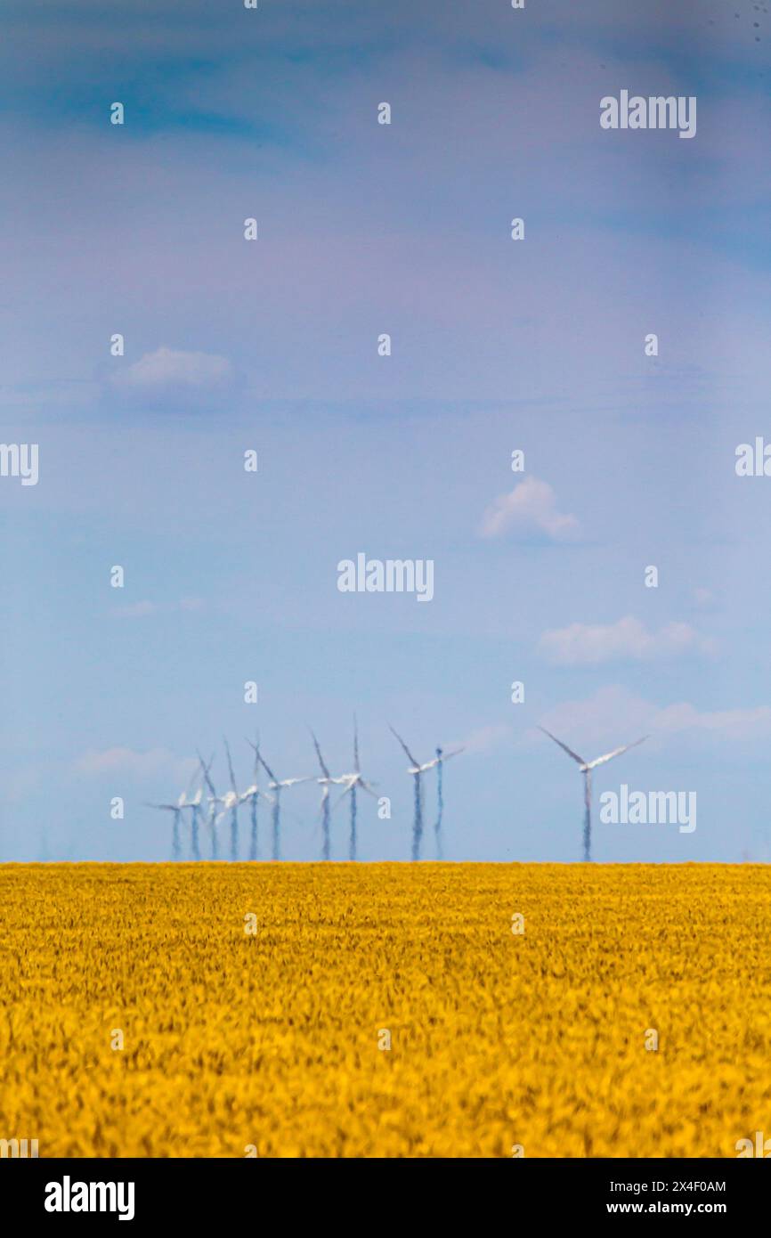 Windmühlen erzeugen Strom über den Feldern in Texas. Stockfoto