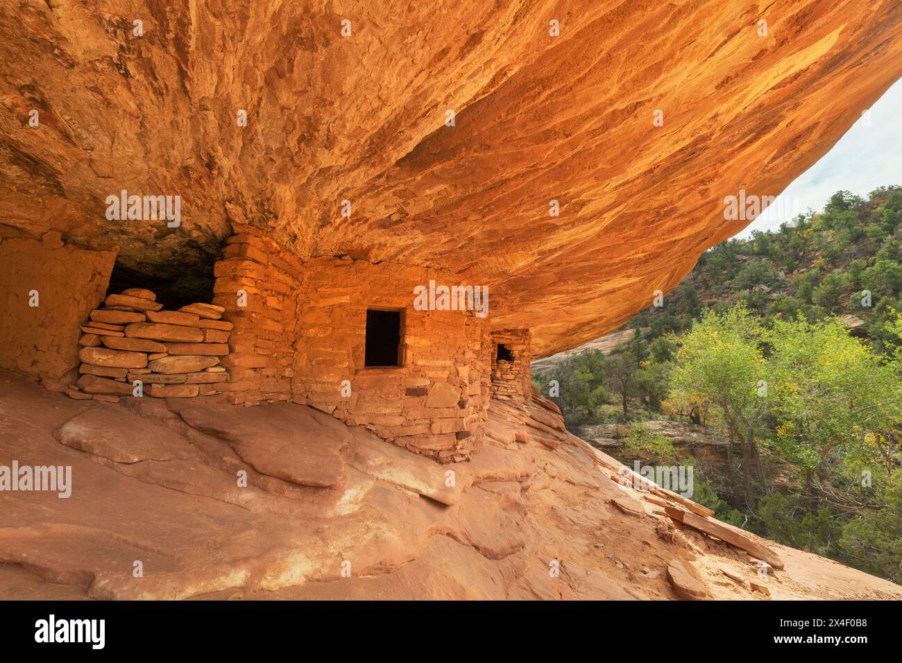 House on Fire Ruins Mule Canyon Cedar Mesa Bears Ears National Monument, Utah. Stockfoto