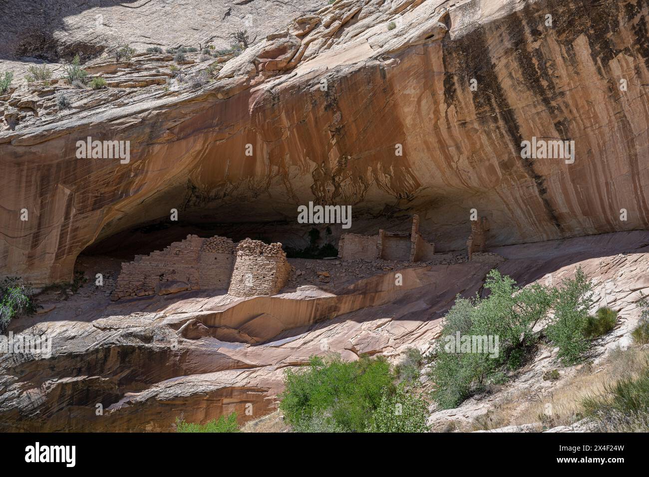 USA, Utah. Monarch Cave, eine Anasazi Ruine, Comb Ridge, Bears Ears National Monument Stockfoto