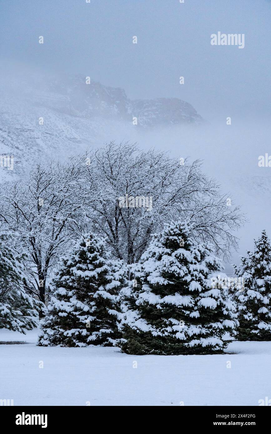 USA, Utah. Winterschnee im Castle Valley. Stockfoto