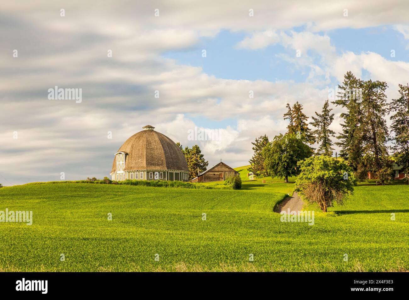 USA, Washington State, Palouse. Pullman. Grüne Weizenfelder. Leonard Round Scheune. (Nur Für Redaktionelle Zwecke) Stockfoto