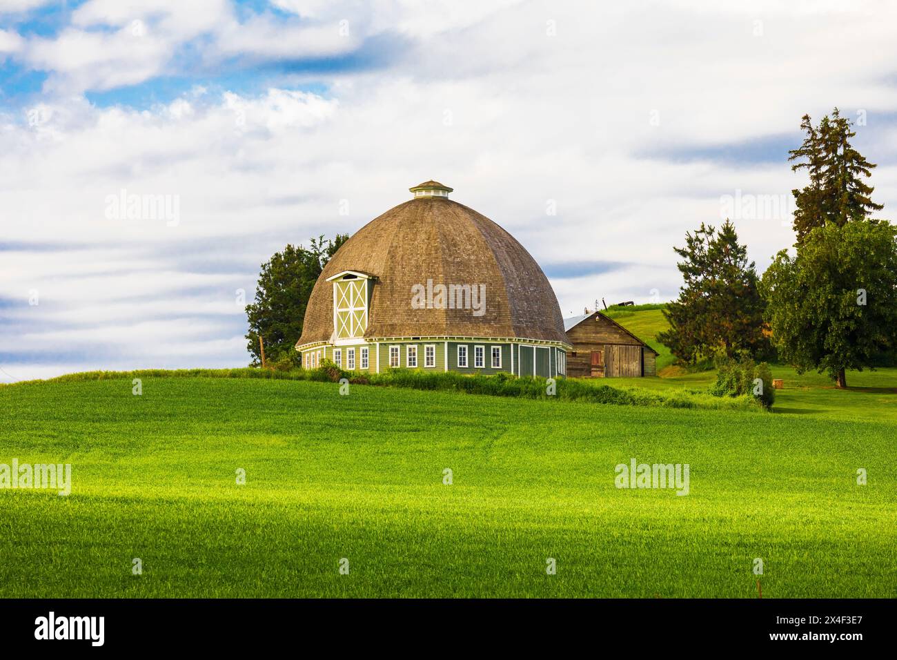 USA, Washington State, Palouse. Pullman. Grüne Weizenfelder. Leonard Round Scheune. (Nur Für Redaktionelle Zwecke) Stockfoto