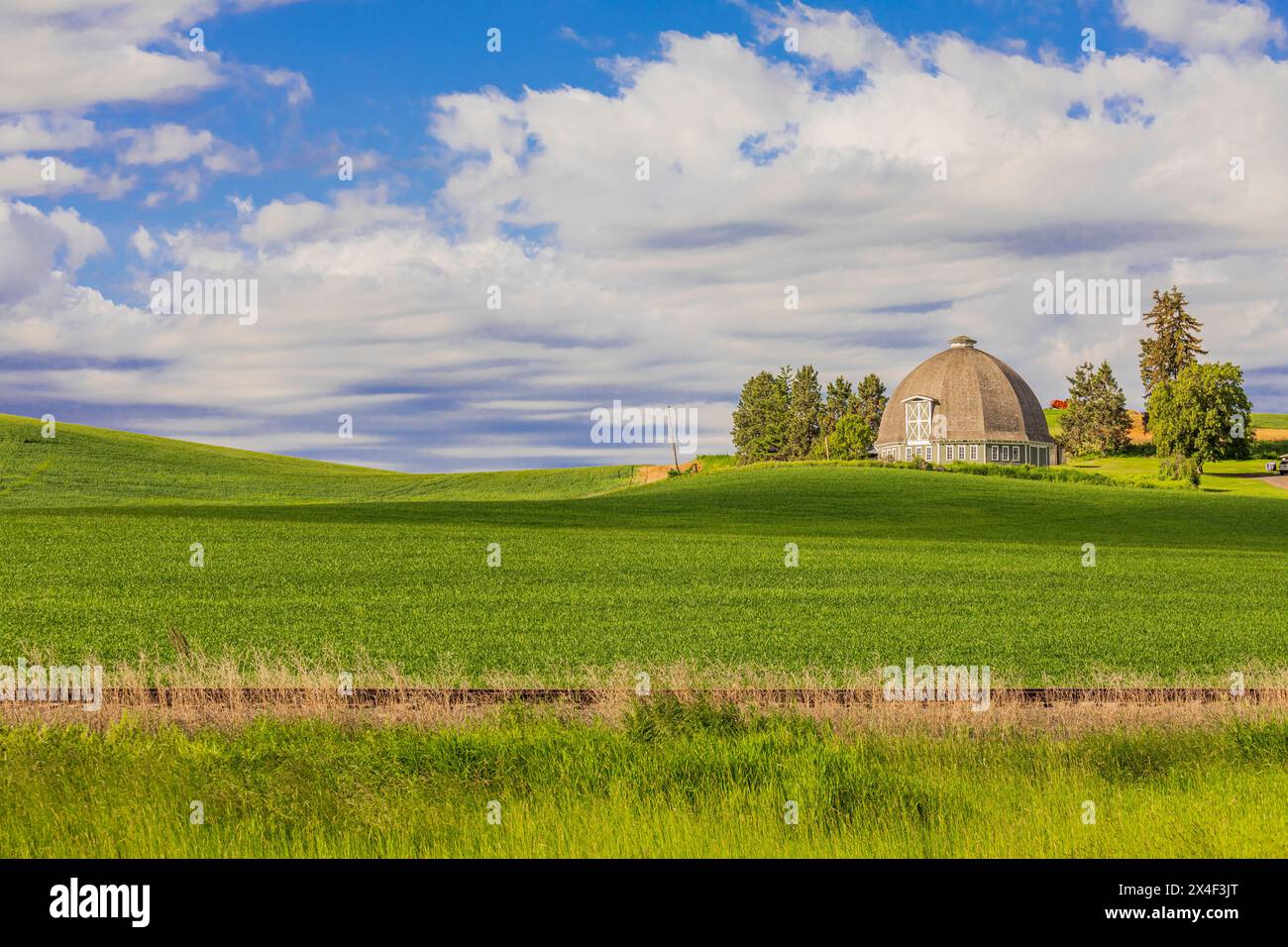USA, Washington State, Palouse. Pullman. Grüne Weizenfelder. Leonard Round Scheune. (Nur Für Redaktionelle Zwecke) Stockfoto