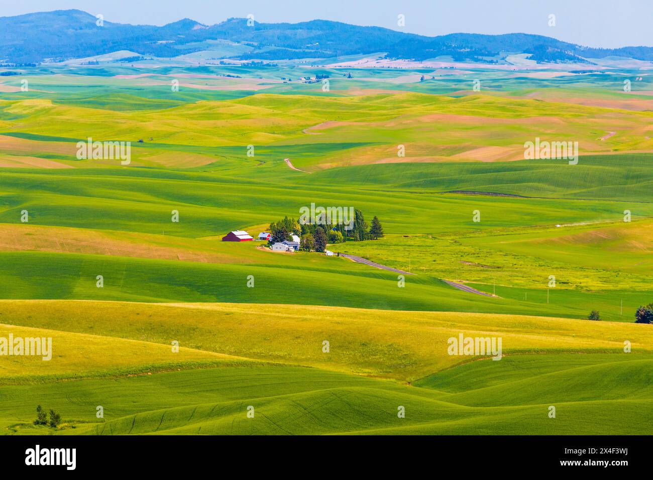 USA, Washington State, Palouse, Colfax. (Nur Für Redaktionelle Zwecke) Stockfoto