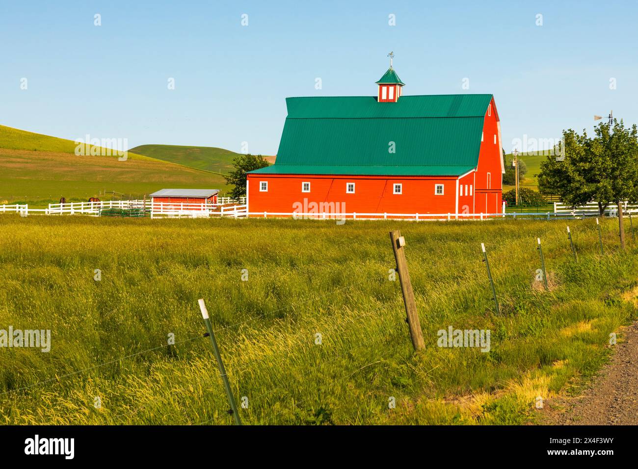 USA, Washington State, Palouse. Rote Scheune, grünes Dach. Colfax. (Nur Für Redaktionelle Zwecke) Stockfoto