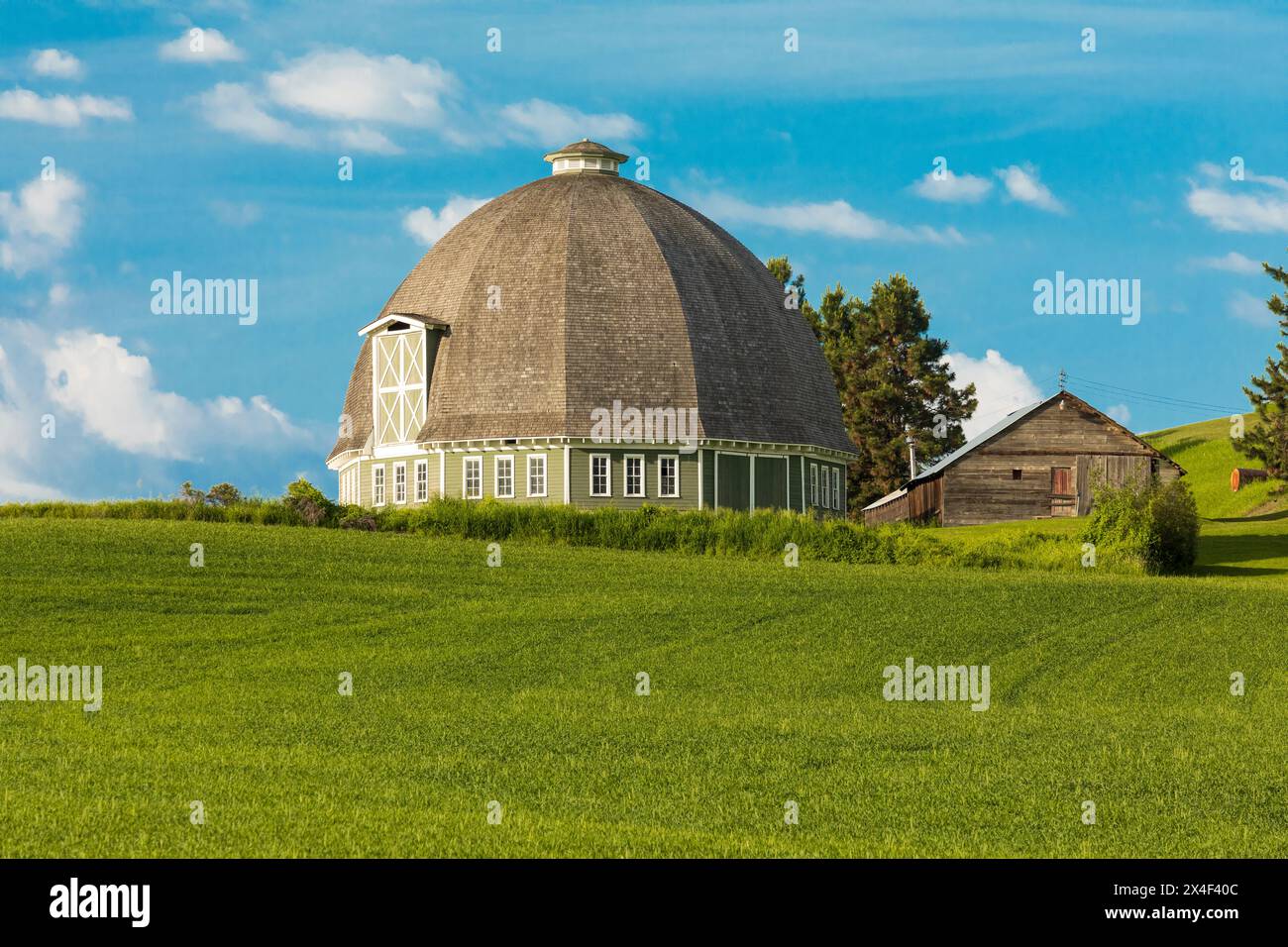 USA, Washington State, Palouse. Pullman. Grüne Weizenfelder. Leonard Round Scheune. (Nur Für Redaktionelle Zwecke) Stockfoto