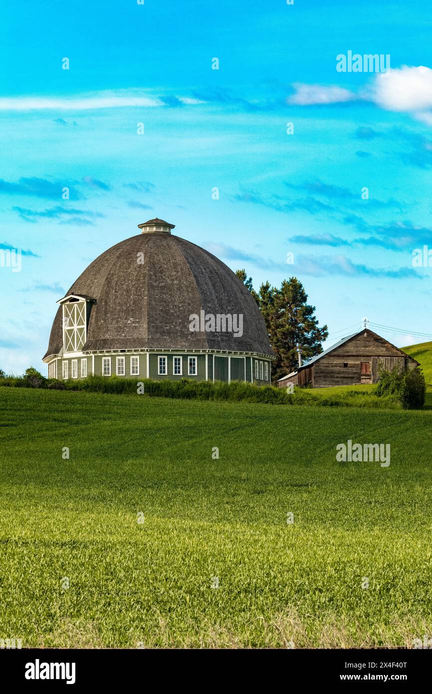 USA, Washington State, Palouse. Pullman. Grüne Weizenfelder. Leonard Round Scheune. (Nur Für Redaktionelle Zwecke) Stockfoto