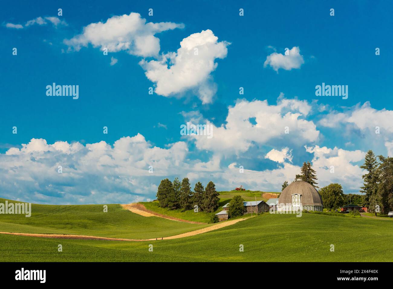USA, Washington State, Palouse. Pullman. Grüne Weizenfelder. Leonard Round Scheune. (Nur Für Redaktionelle Zwecke) Stockfoto