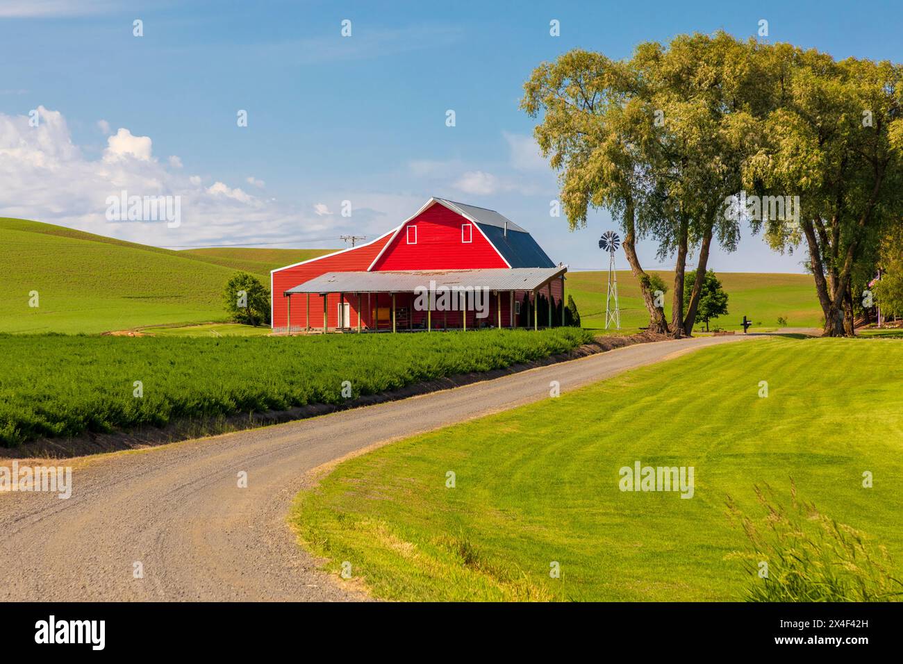 USA, Washington State, Pullman, Palouse. Rote Scheune, blauer Himmel, weiße Wolken. (Nur Für Redaktionelle Zwecke) Stockfoto