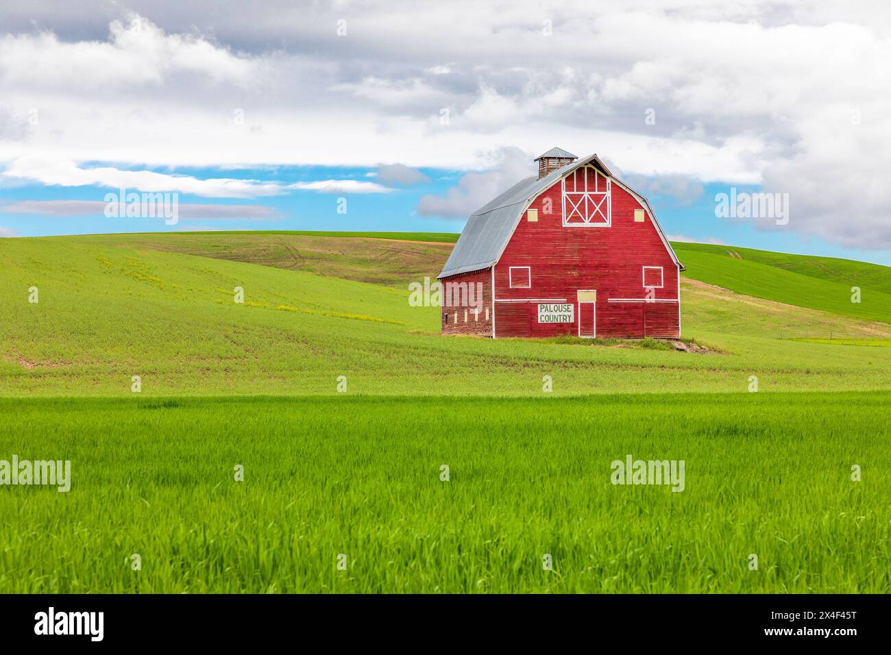 USA, Washington State, Palouse. Uniontown. Rote Scheune auf grünem Weizenfeld. (Nur Für Redaktionelle Zwecke) Stockfoto