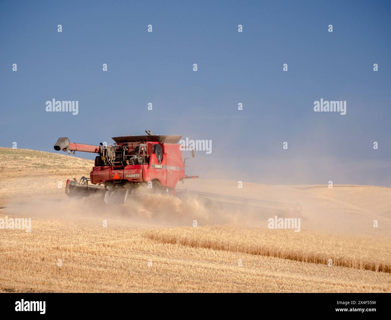 Roter Mähdrescher schneidet Weizen auf dem Feld zur Erntezeit. (Nur Für Redaktionelle Zwecke) Stockfoto
