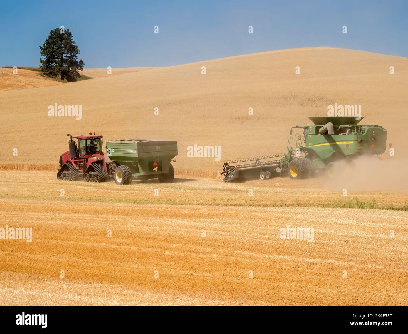 Grüner Mähdrescher bei der Ernte von Weizen und Traktor. (Nur Für Redaktionelle Zwecke) Stockfoto