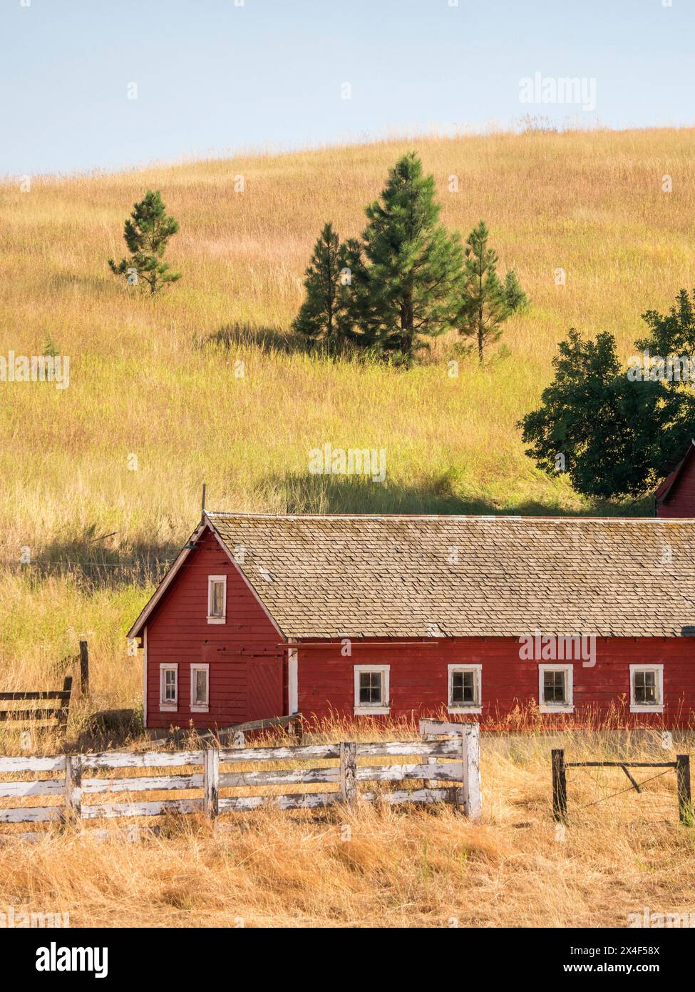 Rote Scheune umgeben von getrockneten Gräsern im Sommer. (Nur Für Redaktionelle Zwecke) Stockfoto