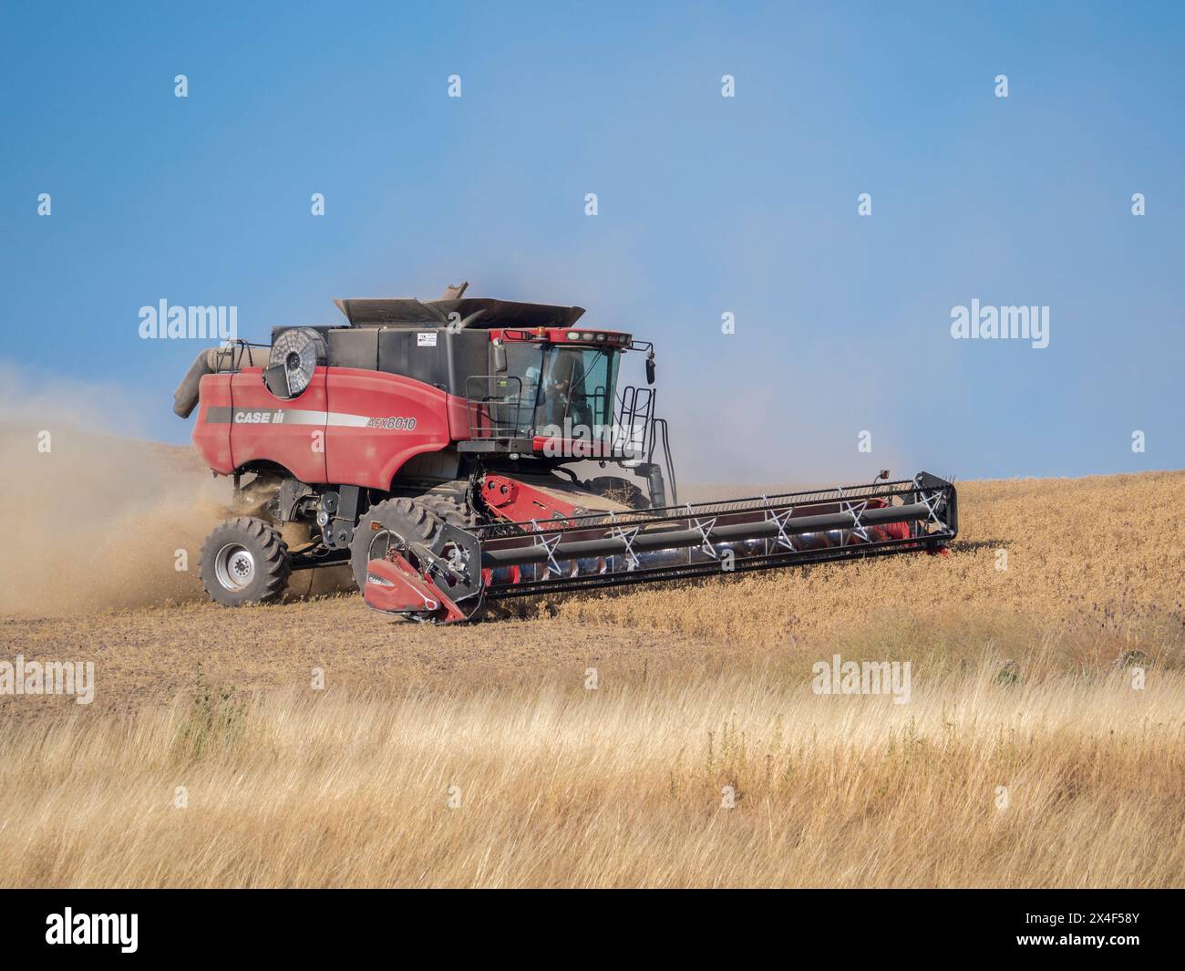 Roter Mähdrescher, der den Weizen zur Erntezeit auf dem Feld schneidet. (Nur Für Redaktionelle Zwecke) Stockfoto