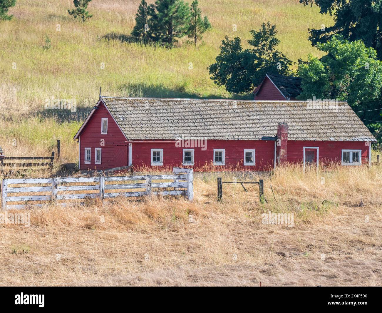Rote Scheune umgeben von getrockneten Gräsern im Sommer. (Nur Für Redaktionelle Zwecke) Stockfoto