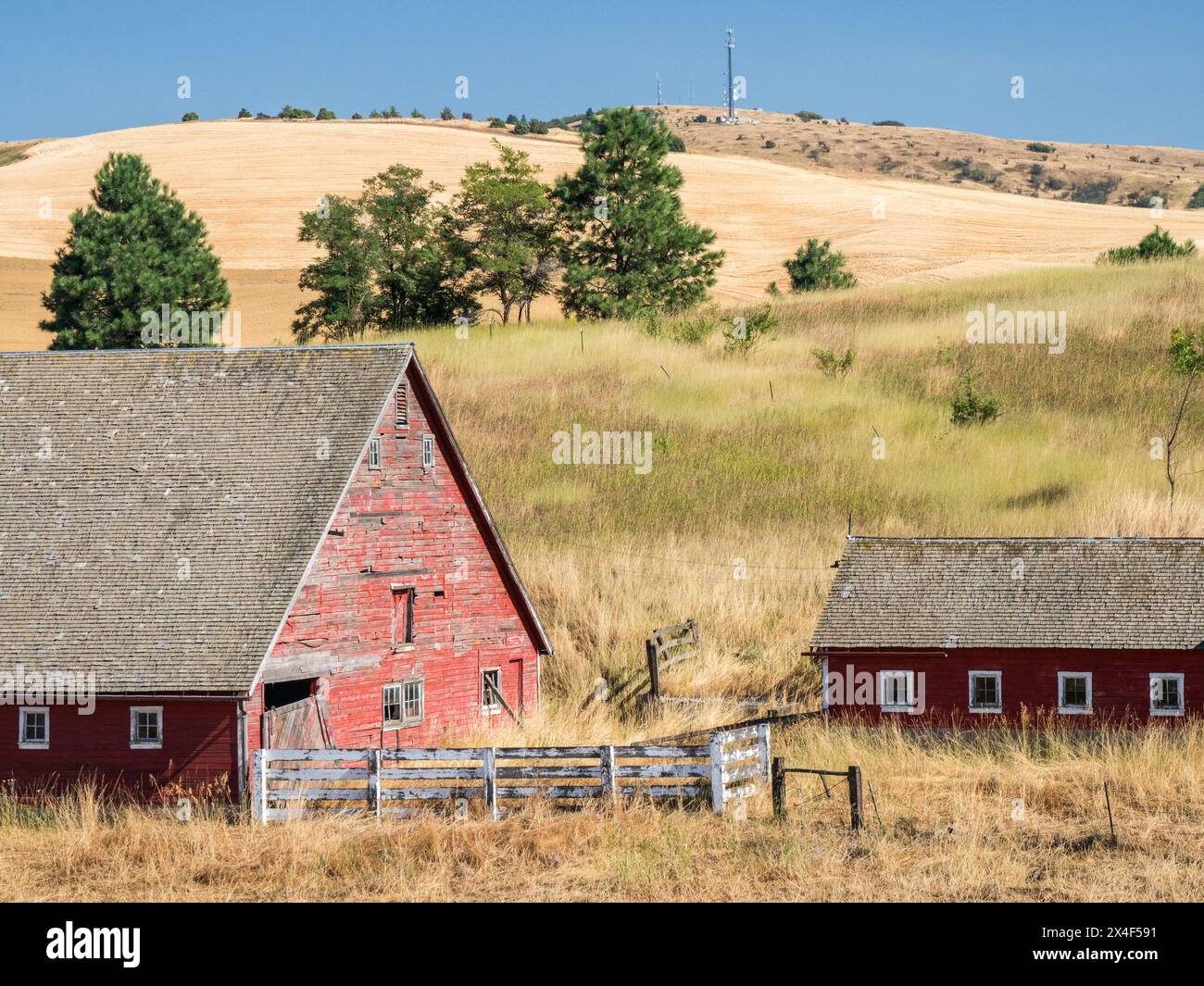 Rote Scheune umgeben von getrockneten Gräsern im Sommer. (Nur Für Redaktionelle Zwecke) Stockfoto