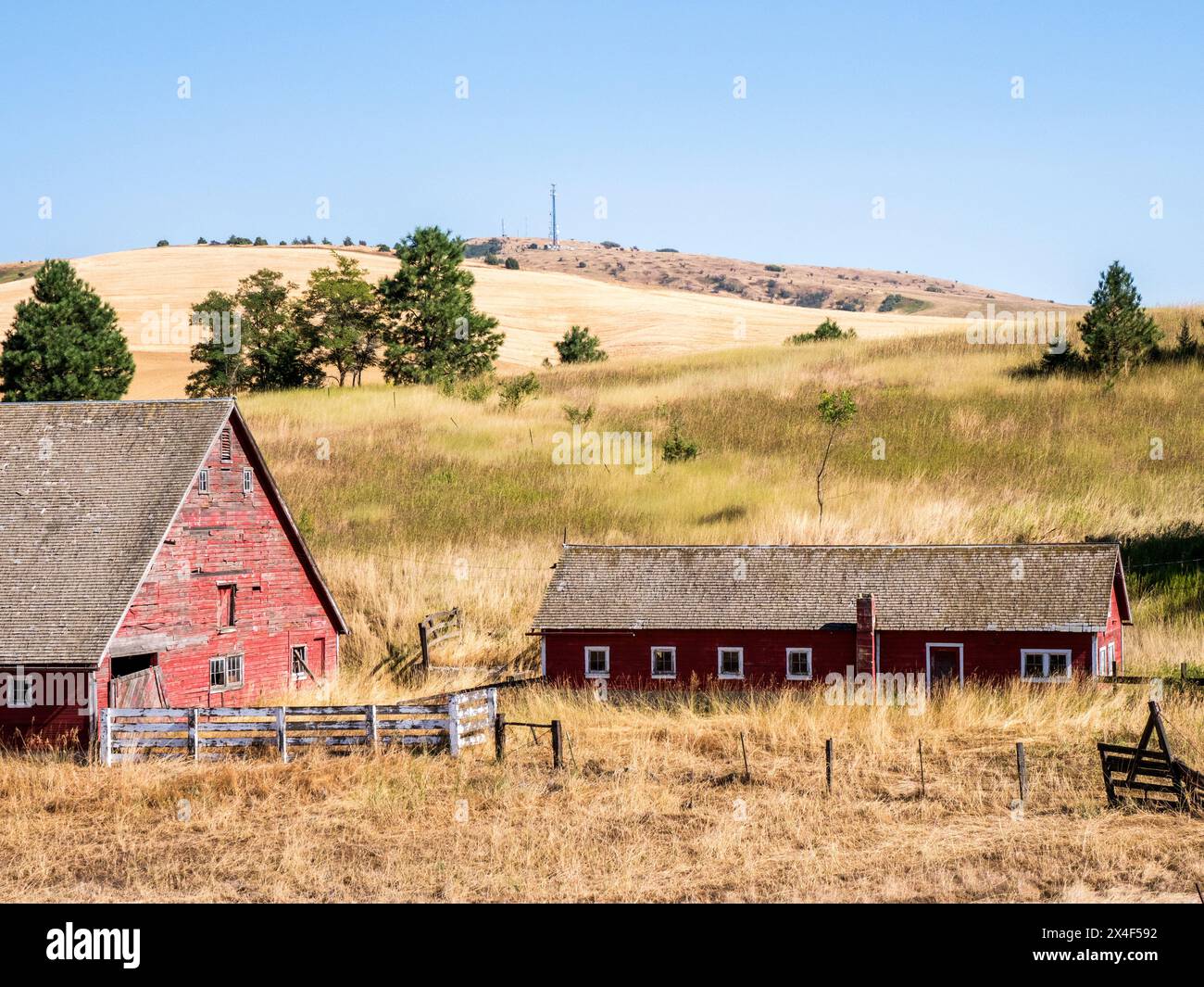 Rote Scheune umgeben von getrockneten Gräsern im Sommer. (Nur Für Redaktionelle Zwecke) Stockfoto