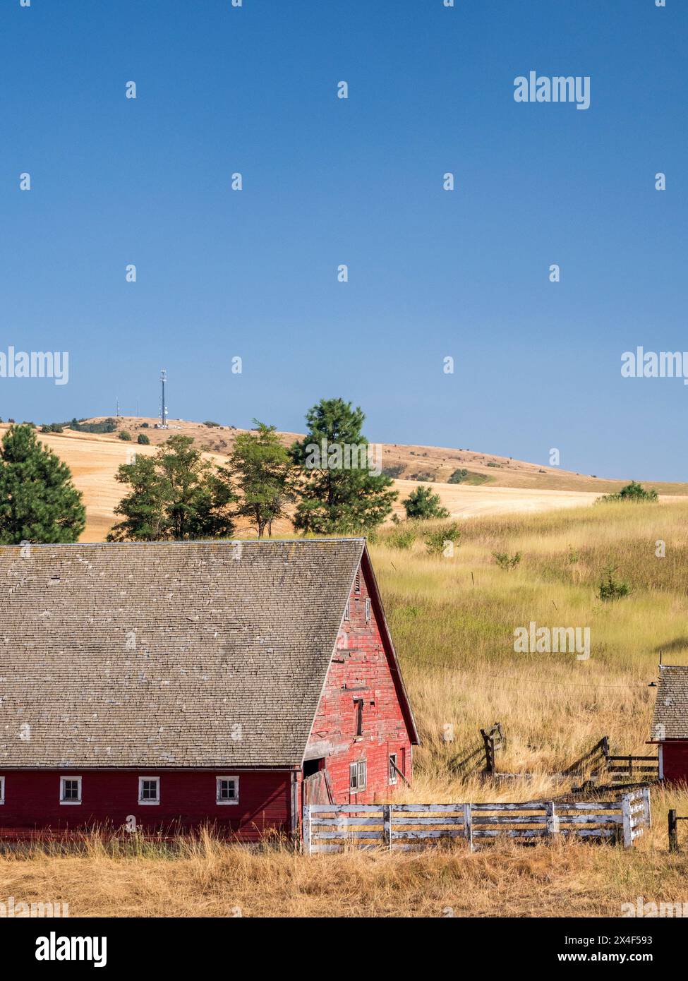 Rote Scheune umgeben von getrockneten Gräsern im Sommer. (Nur Für Redaktionelle Zwecke) Stockfoto