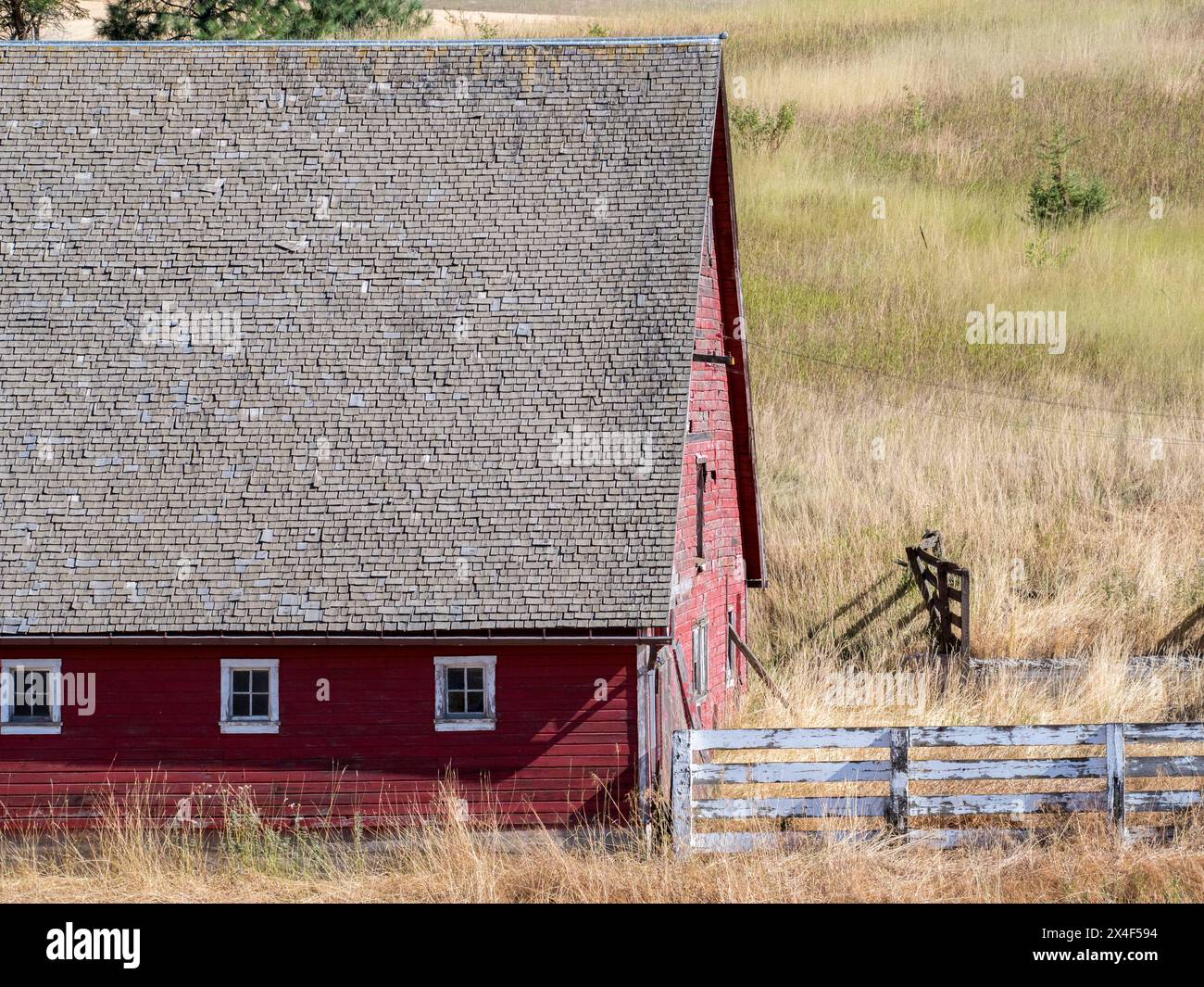 Rote Scheune umgeben von getrockneten Gräsern im Sommer. (Nur Für Redaktionelle Zwecke) Stockfoto