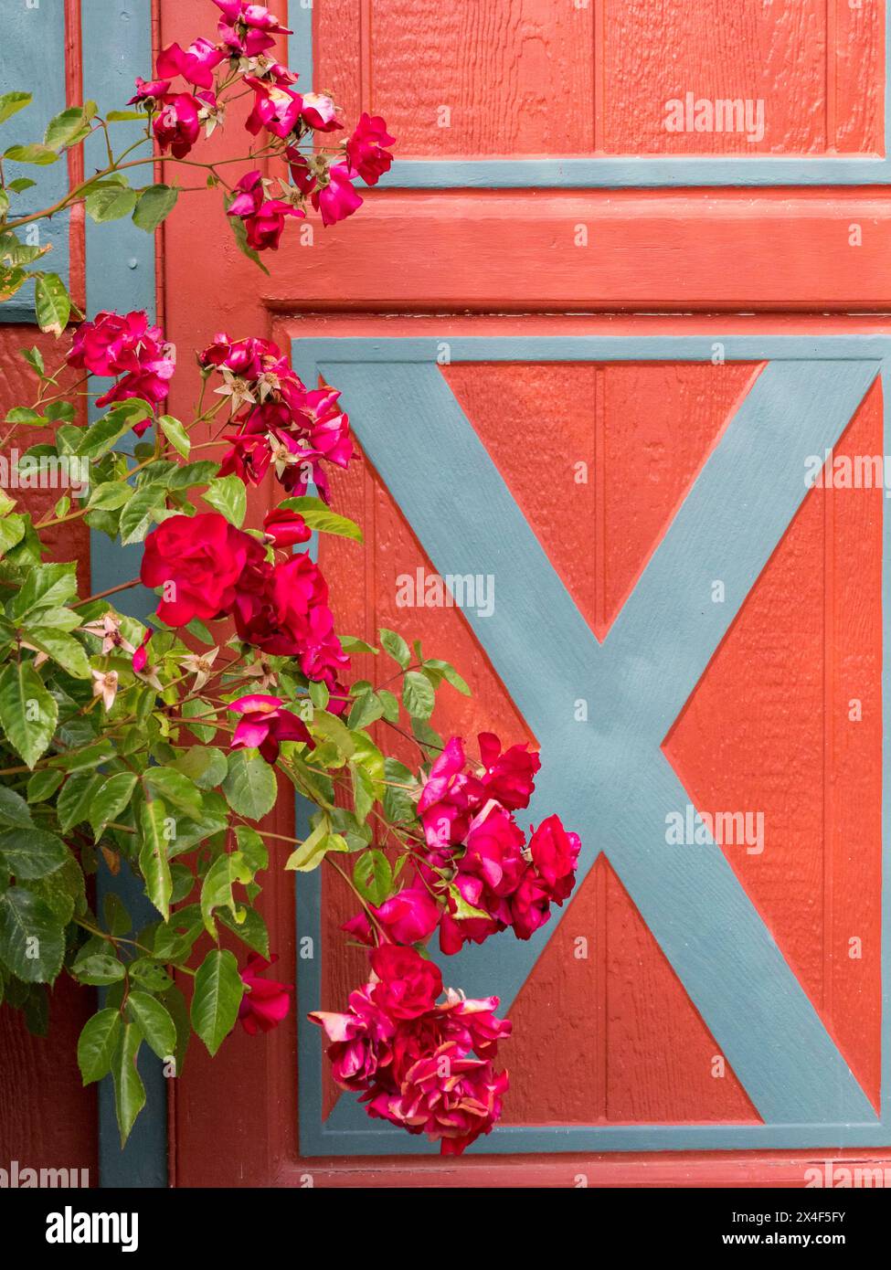 Bunte Türen in einem Schuppen mit blühenden Blumen am Eingang. Stockfoto