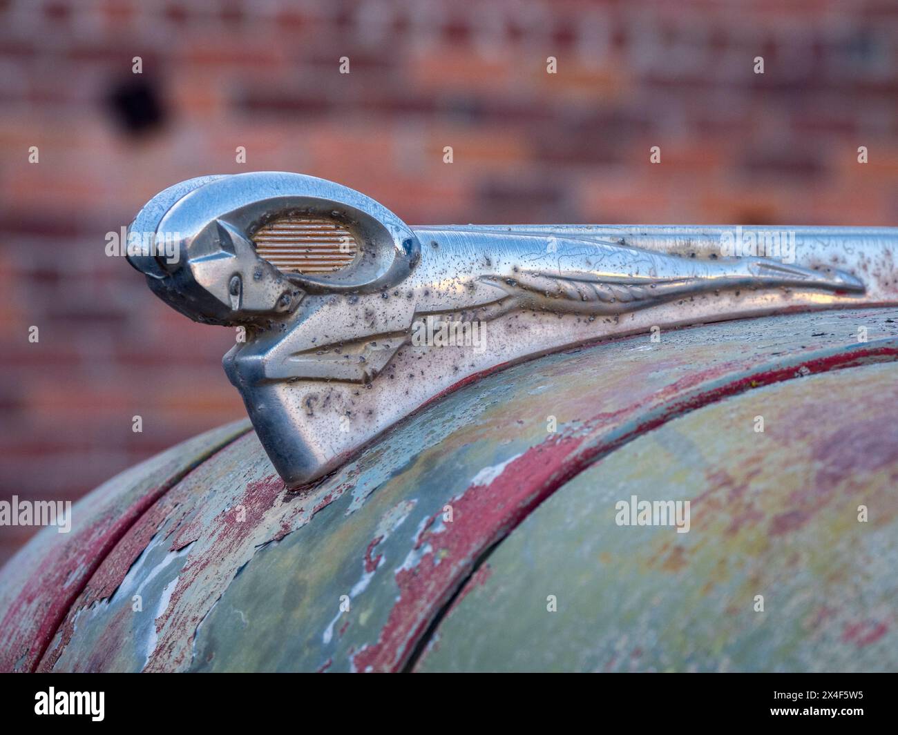 Nahaufnahme eines Ausweichbock-Haubenschmucks an einem Truck in der Palouse. (Nur Für Redaktionelle Zwecke) Stockfoto