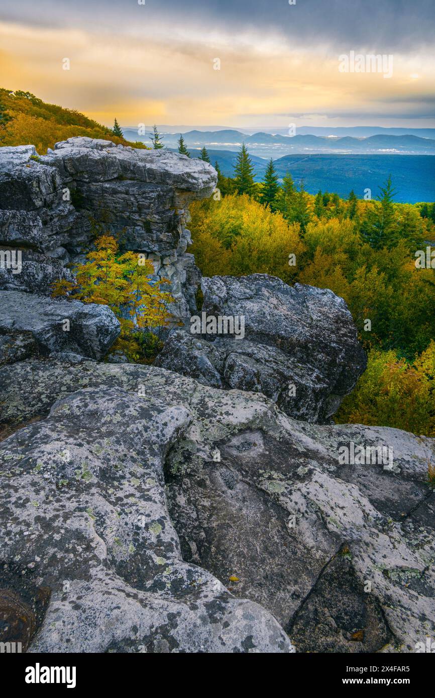 USA, West Virginia, Dolly Sods Wilderness und Umgebung. Sonnenaufgang auf Felsbrocken und Wald. Stockfoto