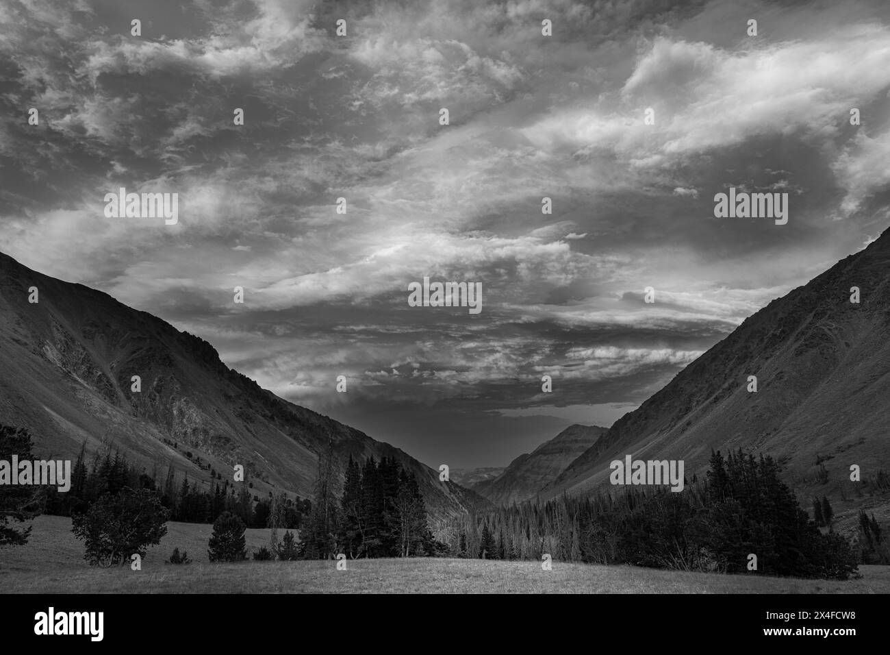 USA, Wyoming. Schwarz-weiße Landschaft des alpinen Tals, Absaroka Mountains Stockfoto