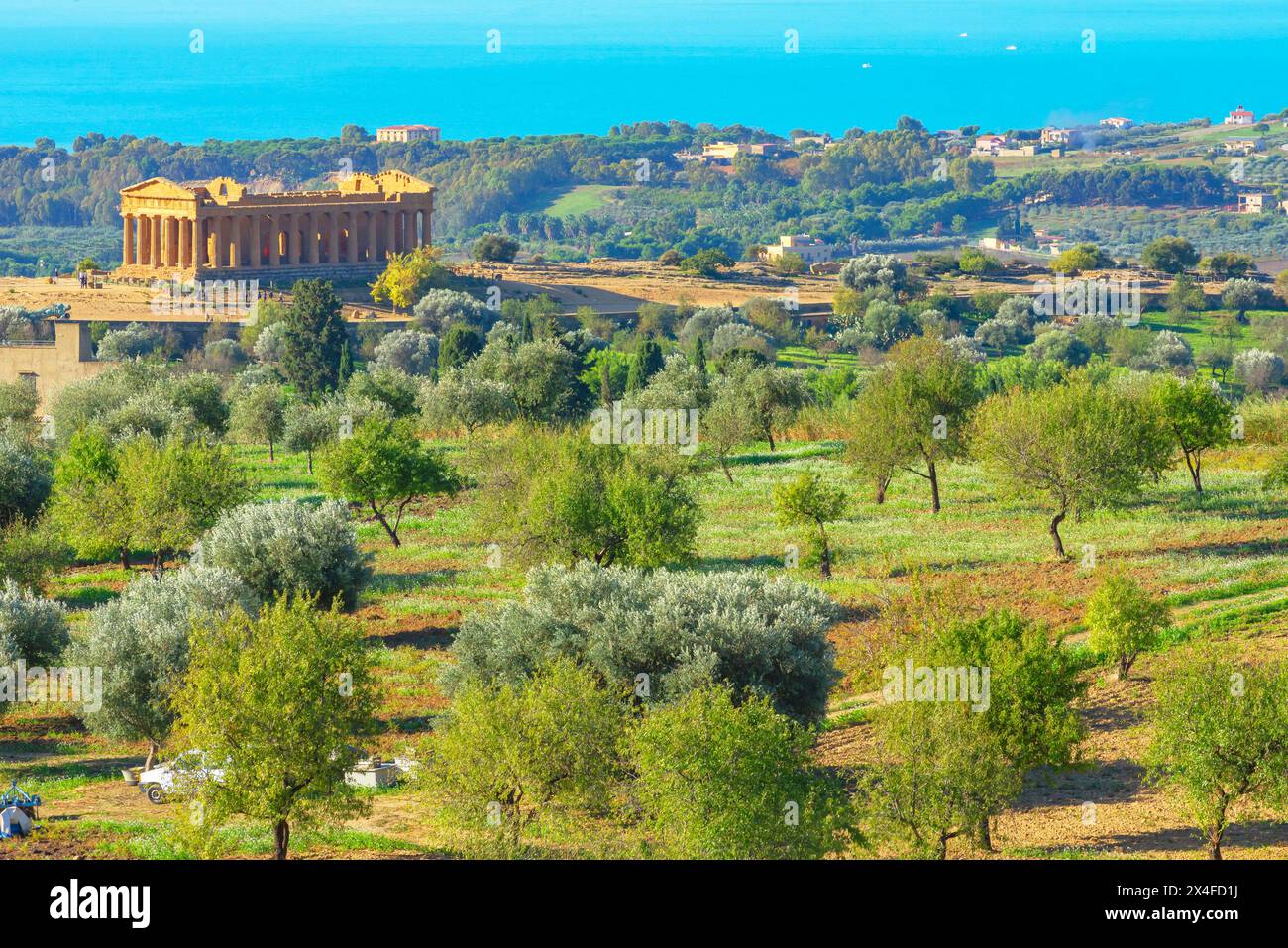 Concordia Tempel, Tal der Tempel, Agrigento, Sizilien, Italien Stockfoto