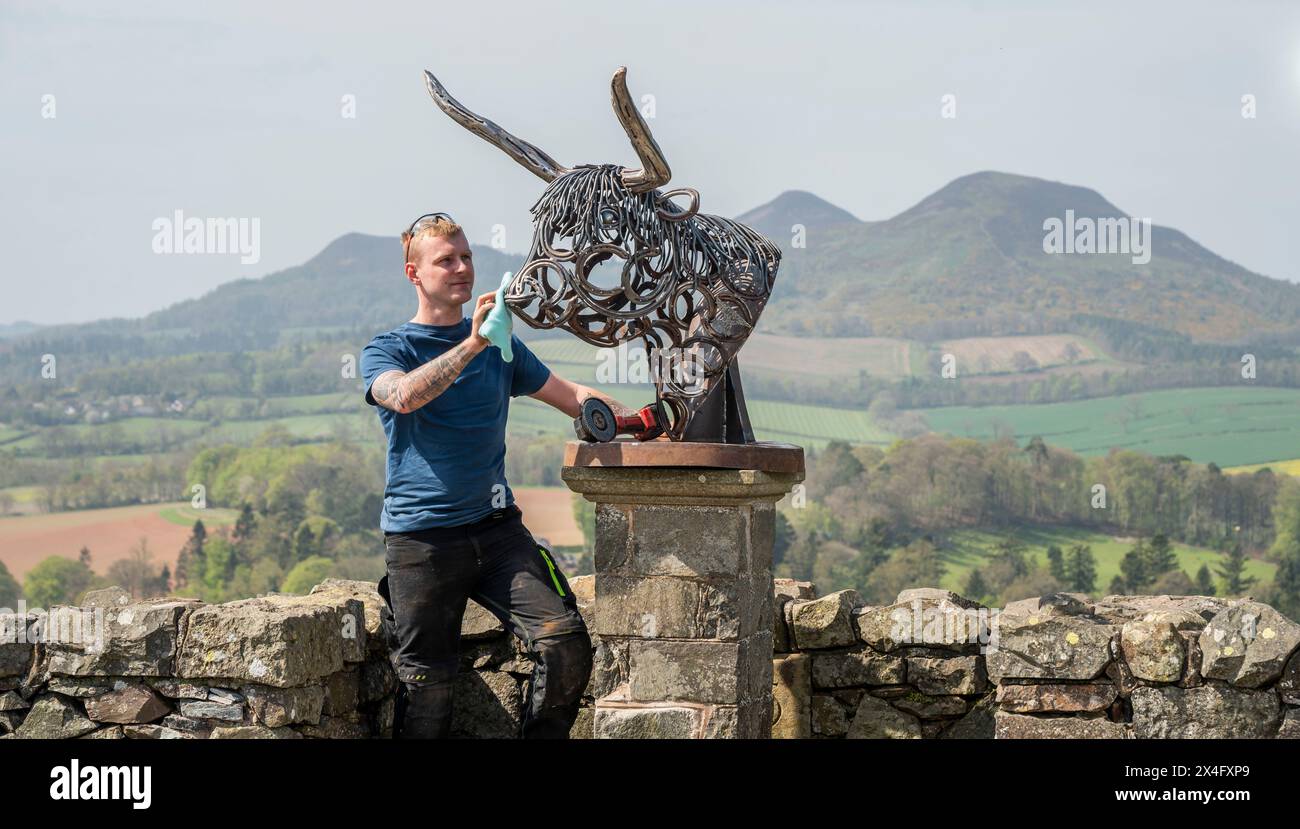 Scottish Borders, Großbritannien. Mai 2024. Mai 2024 Wetter, Kunst. Brandon Beck ist ein erfolgreicher Schmied in Scottish Borders, aber auch ein talentierter Bildhauer. Das Bild zeigt seine neueste Kreation einer dramatischen Büste einer Highland Cow aus geschmiedeten und neu geformten Hufeisen. Seine Arbeit wird in der Kunstausstellung Art in Antrim gezeigt, die an diesem Feiertagswochenende im Ancrum in den schottischen Grenzen stattfindet. Das Bild zeigt, wie die Arbeiten fertig gemacht werden, bevor die Arbeit zur Ausstellung dieses Wochenendes in Ancrum geht. Bildnachweis: phil wilkinson/Alamy Live News Stockfoto