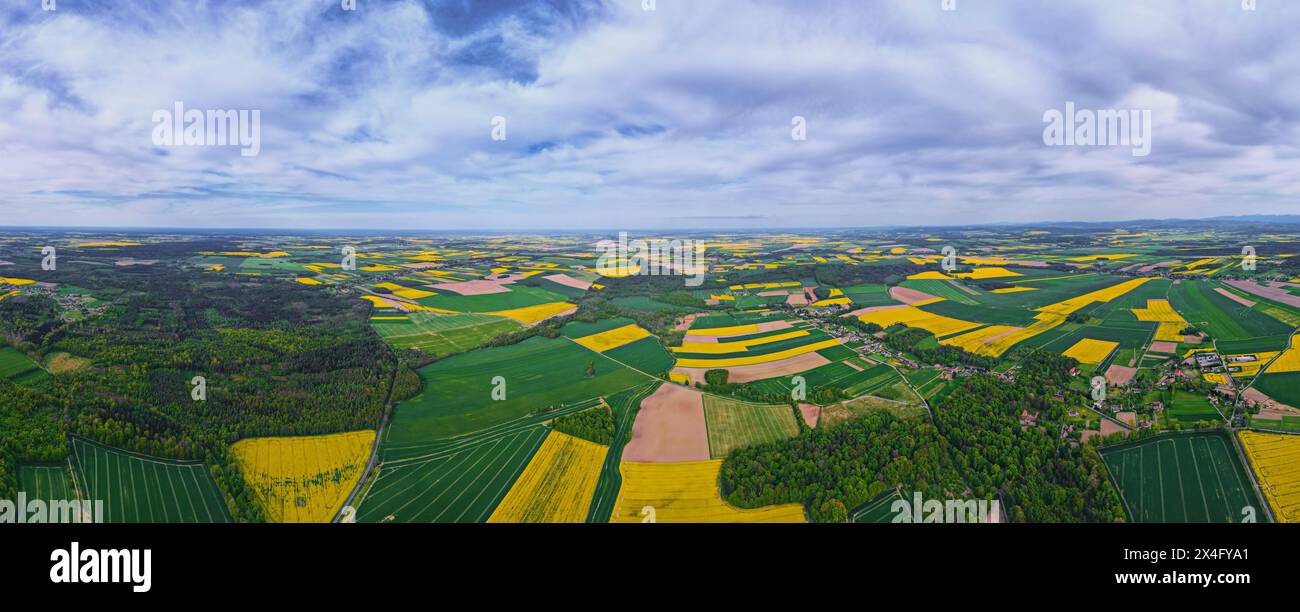 Luftaufnahme der Landschaft mit gelben Rapsfeldern. Naturhintergrund mit Flickenteppich auf blühende landwirtschaftliche Felder Stockfoto