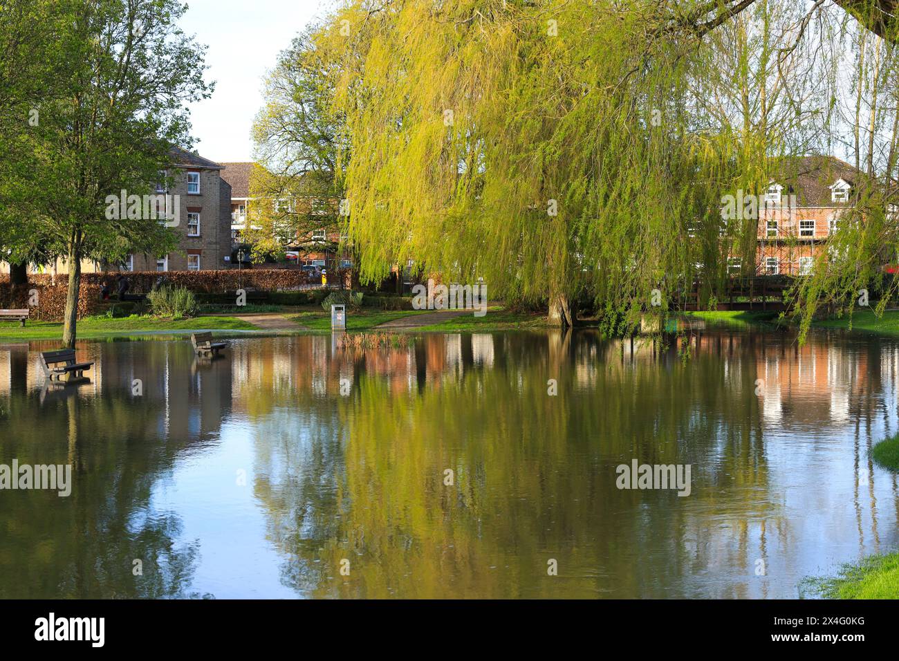 Salisbury, England – 29. März 2024: Der Fluss Avon platzt seine Ufer in den Queen Elizabeth Gardens in Salisbury City, England Stockfoto