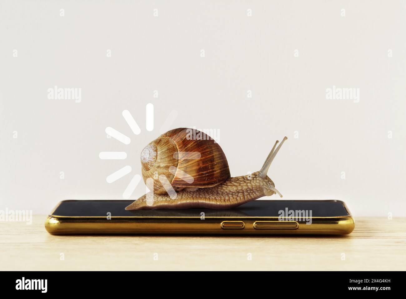 Schnecke mit Ladezeichen auf Smartphone – Konzept mit langsamer Internetgeschwindigkeit und langsamer Ladeleiste Stockfoto