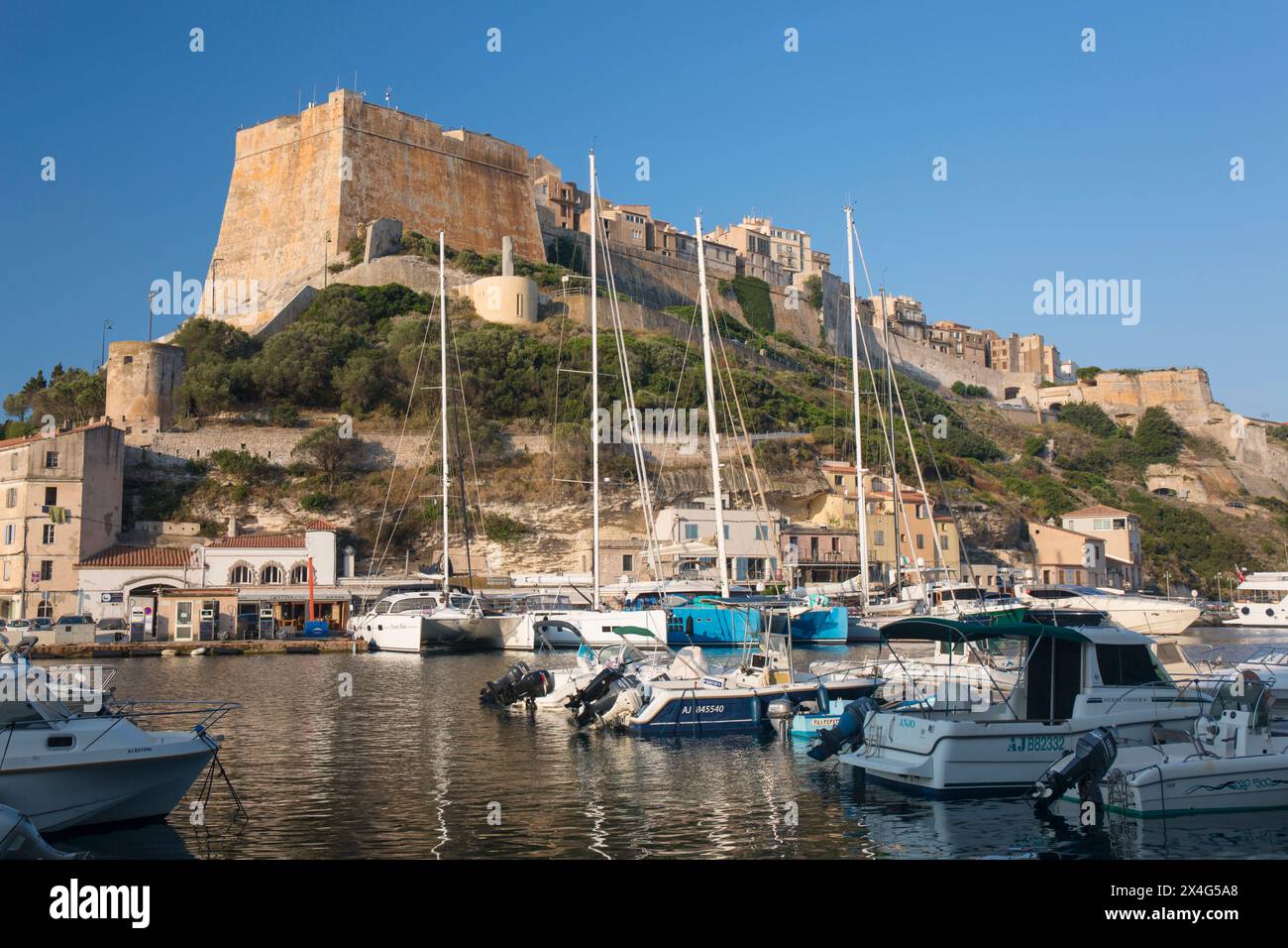 Bonifacio, Corse-du-Sud, Korsika, Frankreich. Blick über den Hafen auf die hoch aufragenden Mauern der Zitadelle am frühen Morgen. Stockfoto