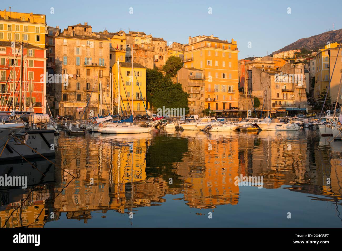 Bastia, Haute-Corse, Korsika, Frankreich. Blick über den Vieux Port bei Sonnenaufgang, farbenfrohe Hafenhäuser, die sich im ruhigen Wasser spiegeln. Stockfoto