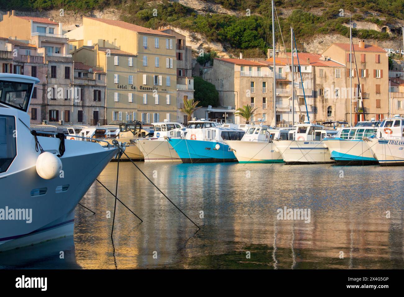 Bonifacio, Corse-du-Sud, Korsika, Frankreich. Blick über den Hafen bei Sonnenaufgang, verankerte Sightseeing-Boote spiegeln sich im ruhigen Wasser. Stockfoto