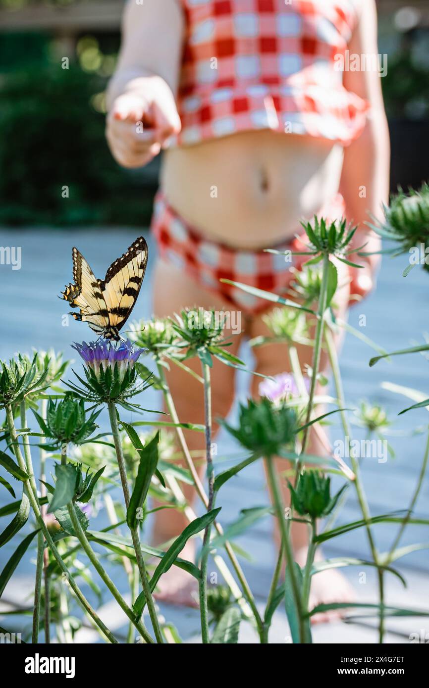 Kleinkind entdeckt Schmetterlinge auf Disteldistel im Garten Stockfoto