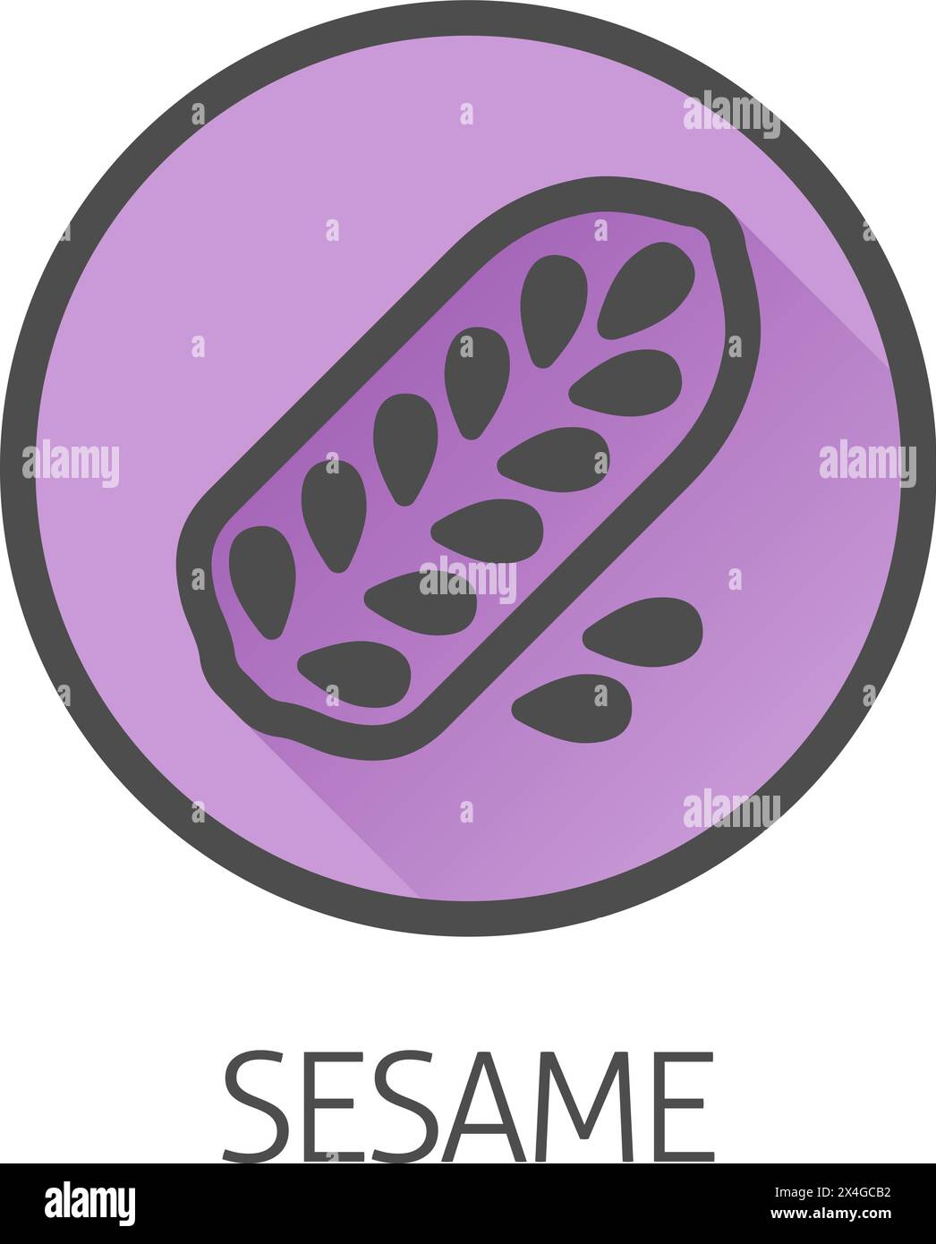 Sesam Seed Capsule Pod Food Allergen Icon Konzept Stock Vektor