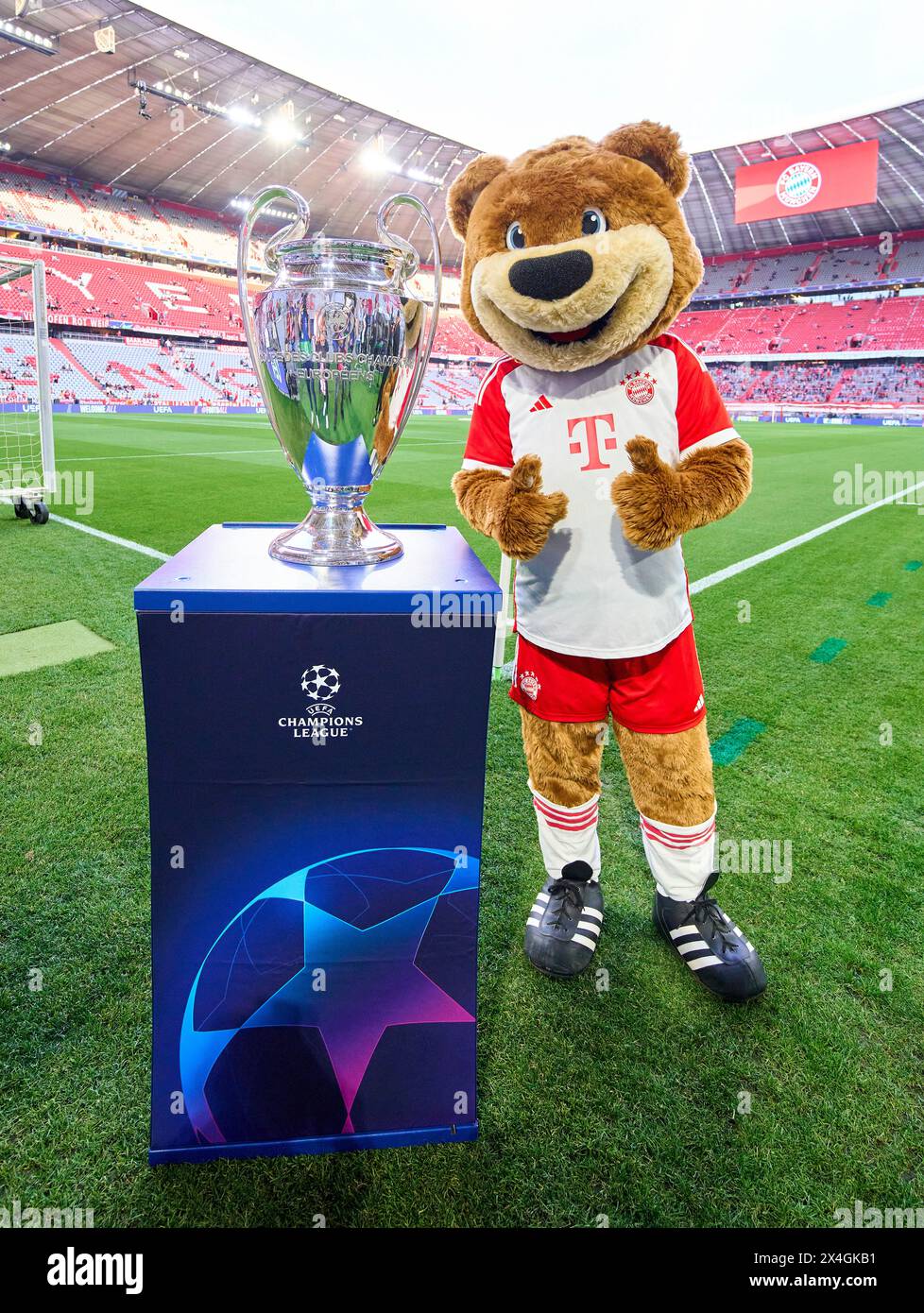 München, Deutschland. April 2024 30. FCB Maskottchen Bernie, Maskottchen, mit Champions-League-Pokal, Trophäe, Pott, Zeremonie, im Halbfinalspiel FC BAYERN MÜNCHEN - REAL MADRID 2-2 Fußball UEFA Champions League in der Saison 2023/2024 in München, 30. April 2024. Halbfinale, FCB, München Fotograf: ddp Images/STAR-Images Credit: ddp Media GmbH/Alamy Live News Stockfoto